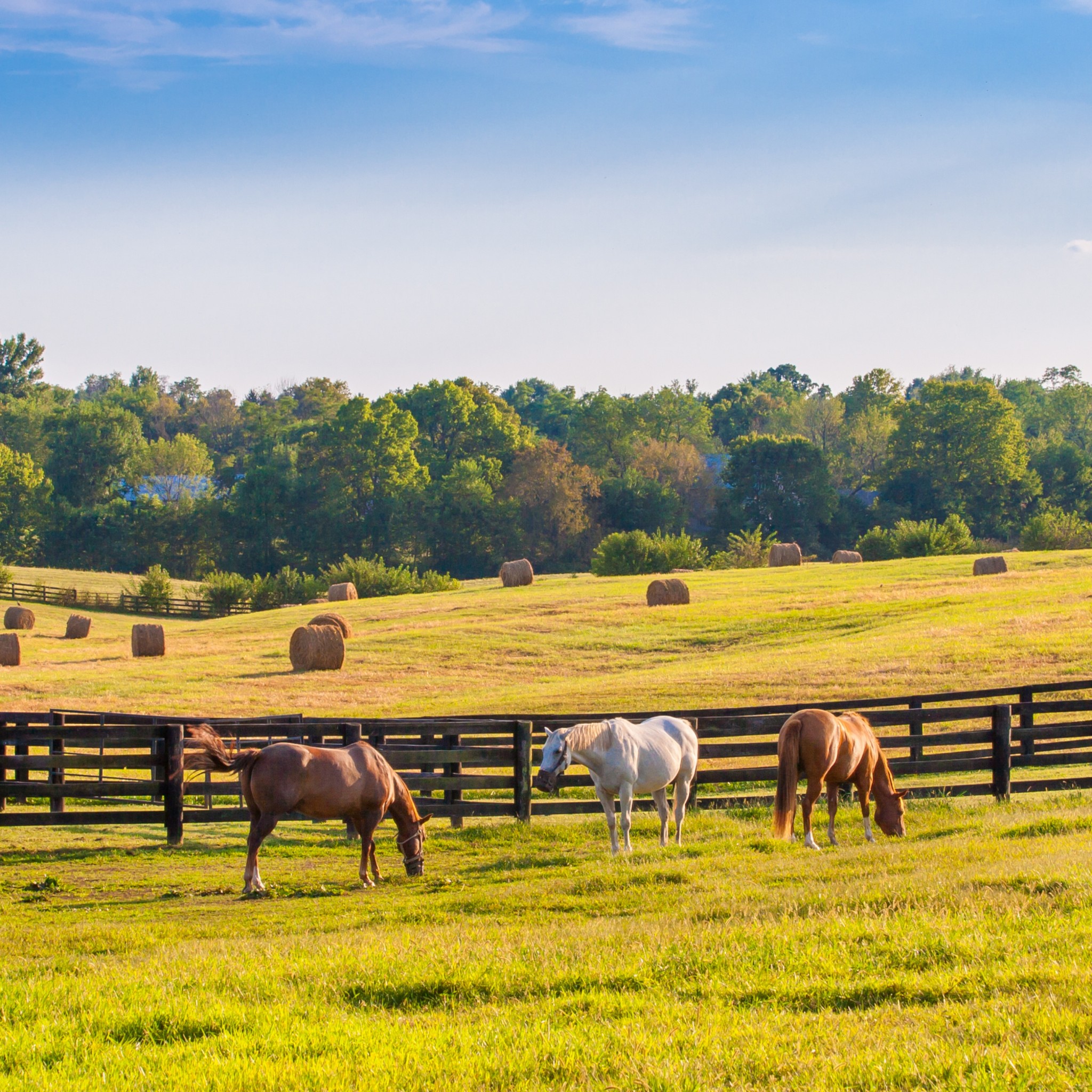 0 Green Chapel Road Franklin, TN 37064 - Photo 13 of 14 Gallery Image 13