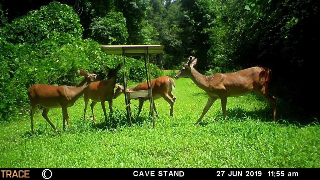 1105 Spitchley Road Hazlehurst, MS 39083 - Photo 20 of 31 Photo 20