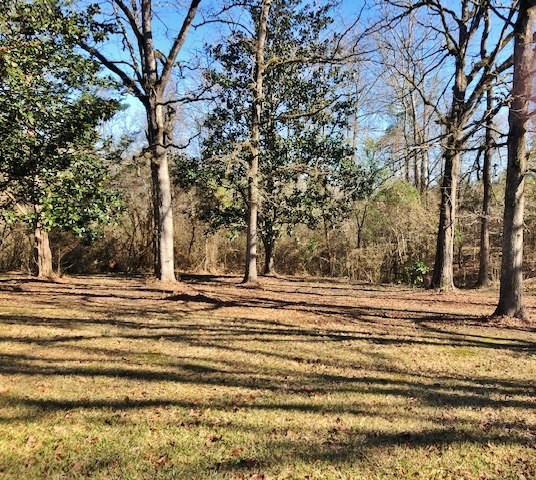 1105 Spitchley Road Hazlehurst, MS 39083 - Photo 23 of 31 Photo 23