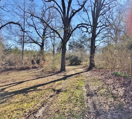 1105 Spitchley Road Hazlehurst, MS 39083 - Photo 25 of 31 Photo 25