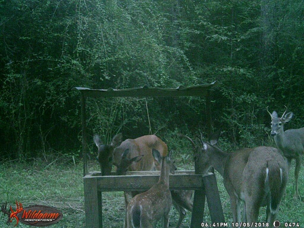 1105 Spitchley Road Hazlehurst, MS 39083 - Photo 26 of 31 Photo 26