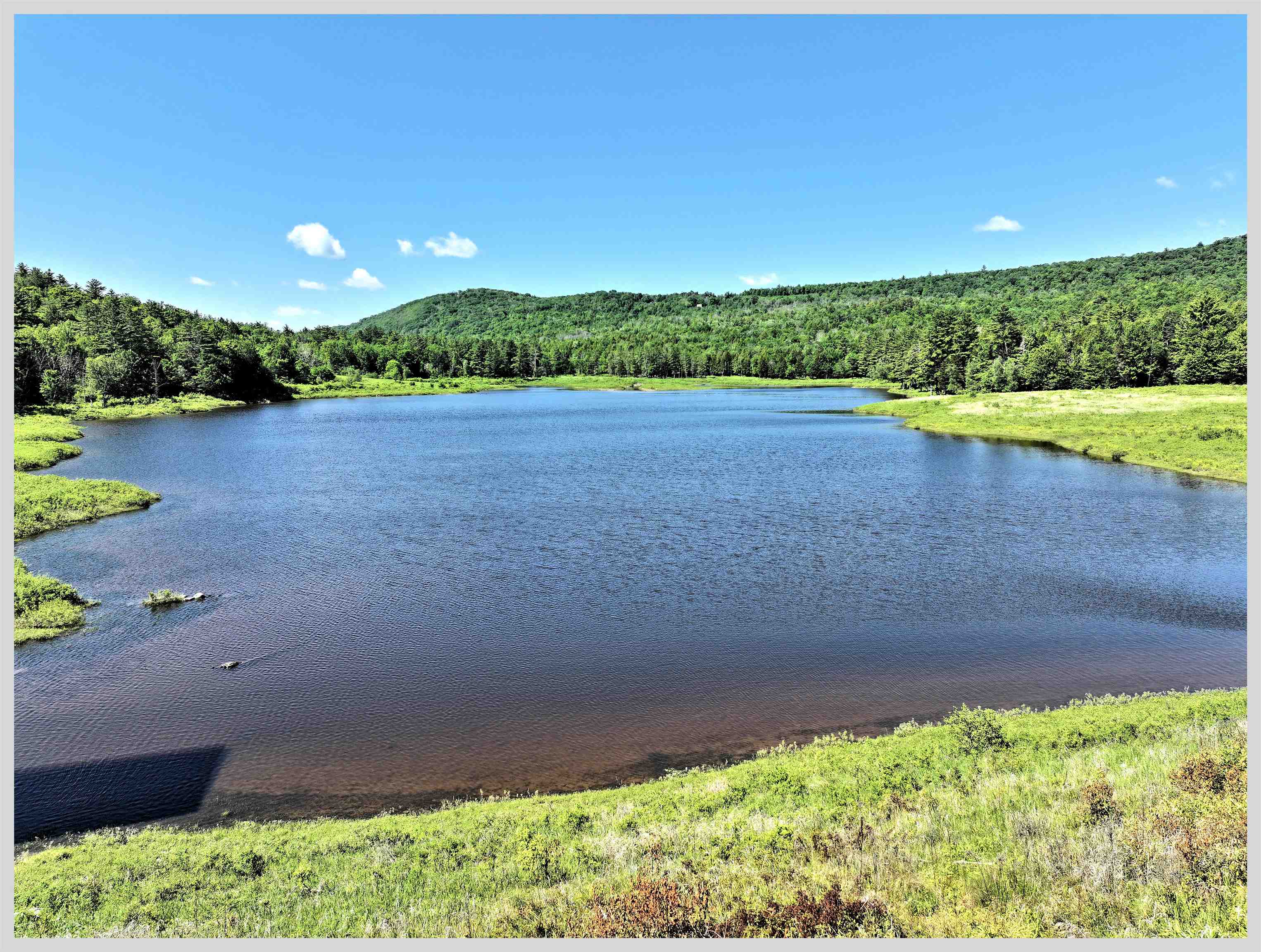 206 River Road Rumney, NH 03266 - Photo 10 of 60