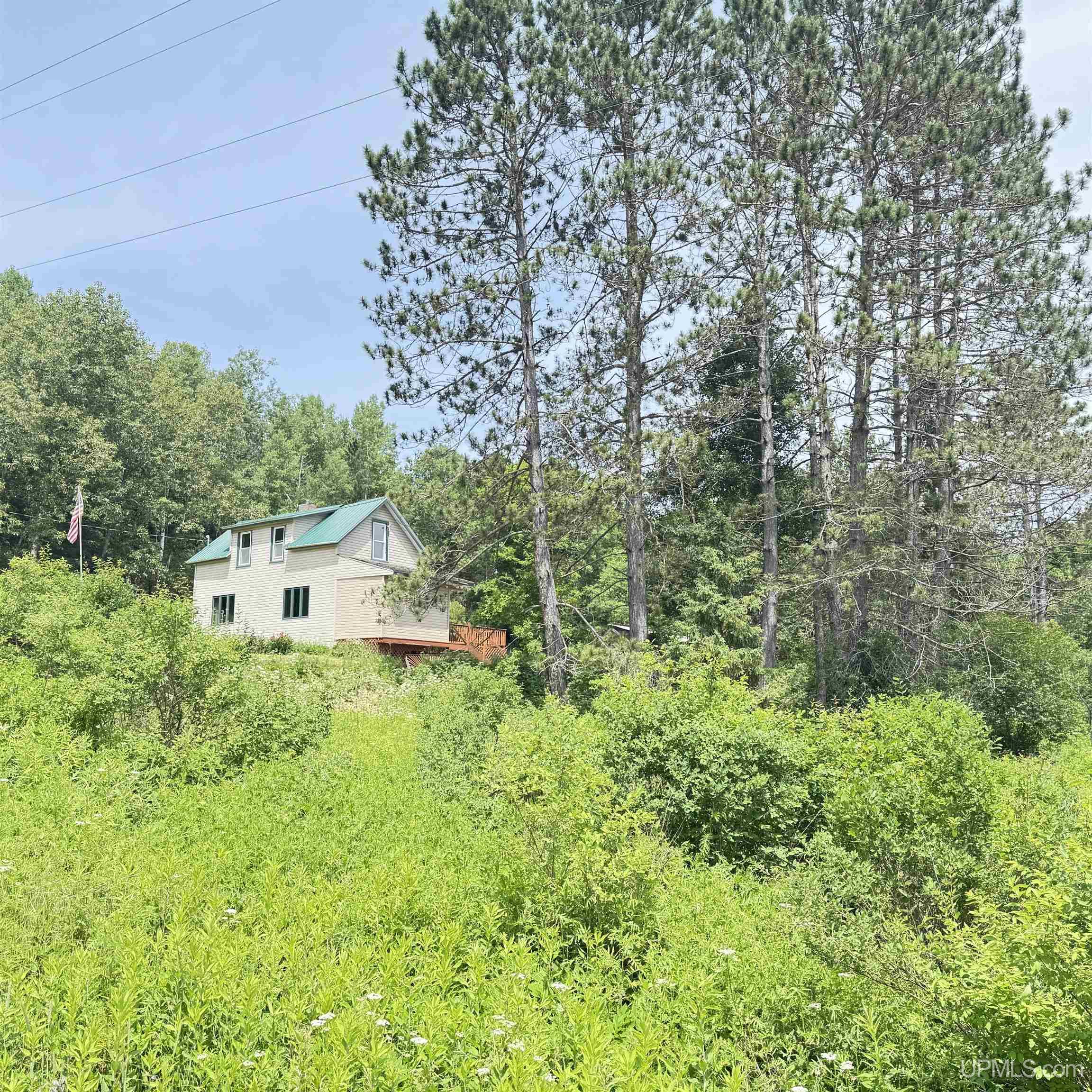 1669 Kofmehl Road Iron River, MI 49935 - Photo 41 of 49