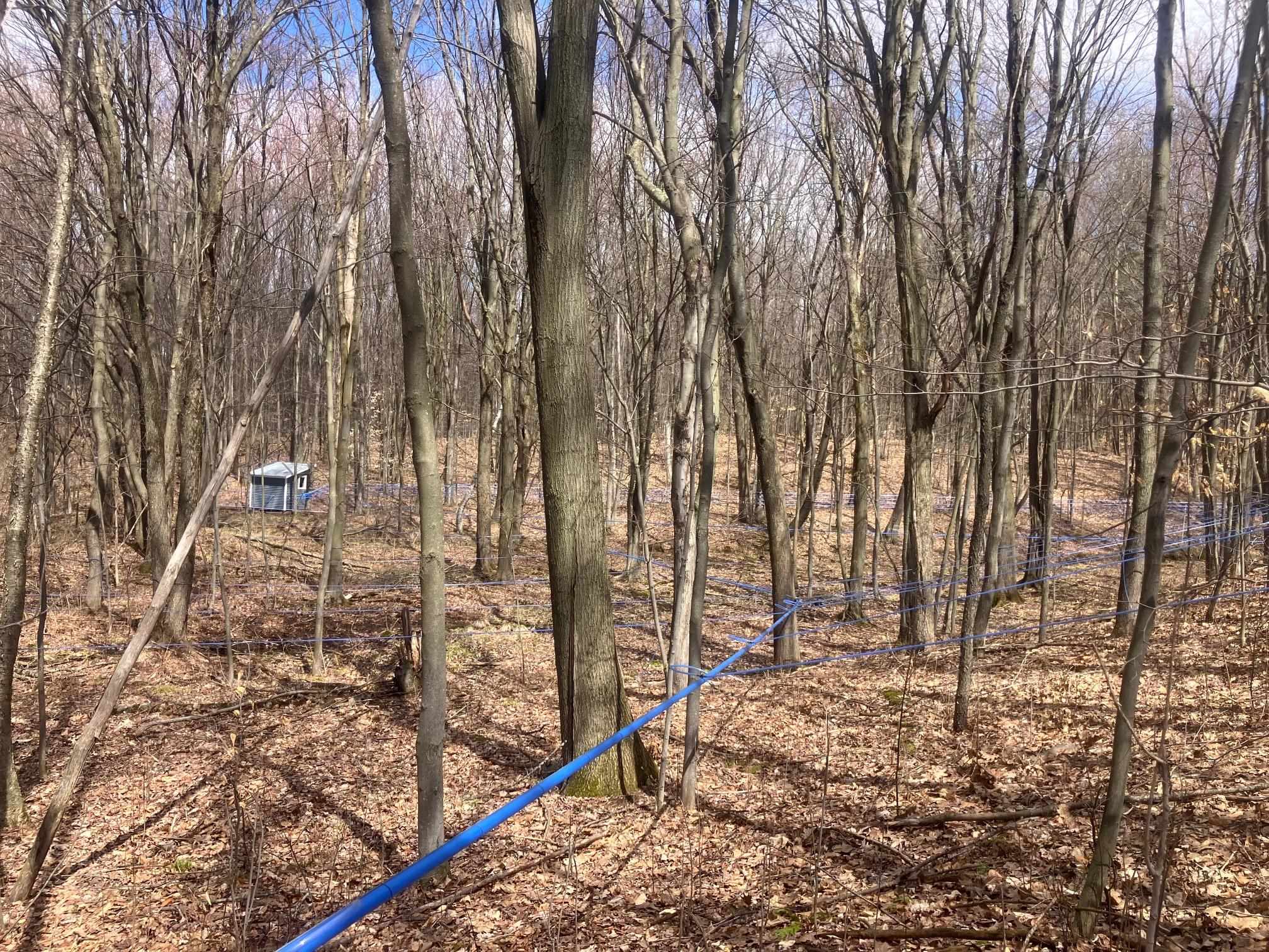 74 Jedware Circle, Unit LOT 101 Swanton, VT 05488 - Photo 16 of 17