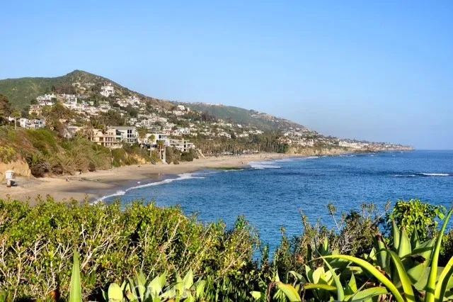 a view of a yard with an ocean