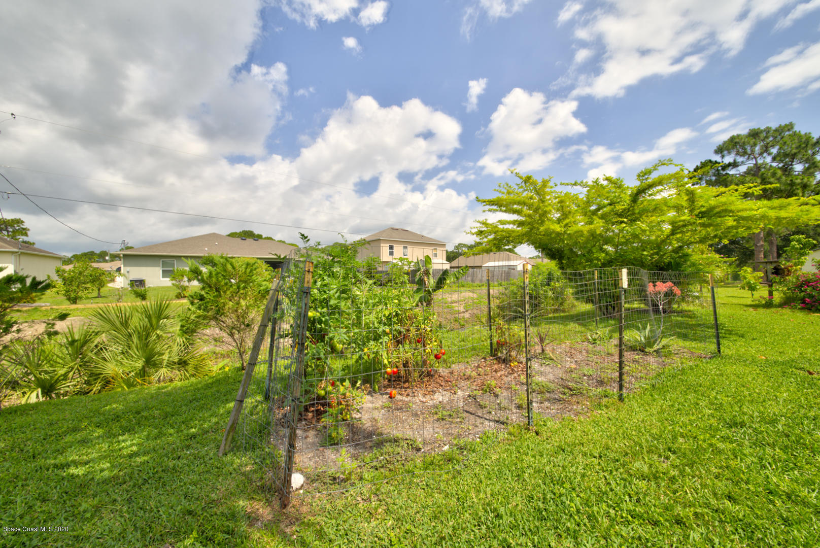 581 Raleigh Road Southeast Palm Bay, FL 32909 - Photo 11 of 60 garden
