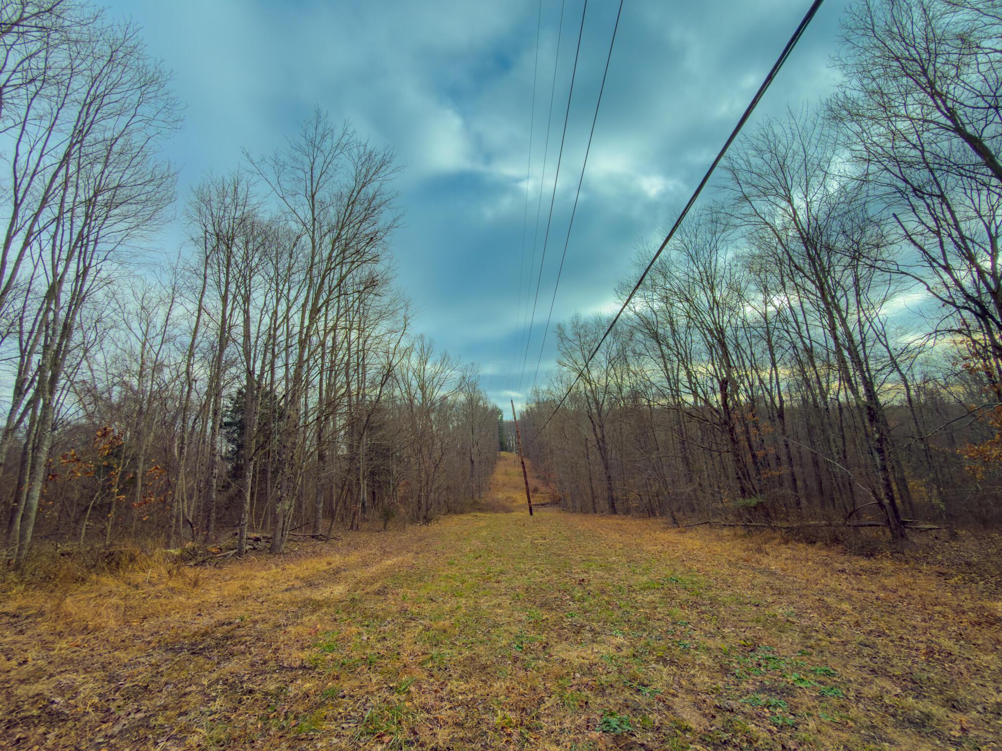 0 Long Fork Road Piketon, OH 45661 - Photo 5 of 37 Long fork rd.-05