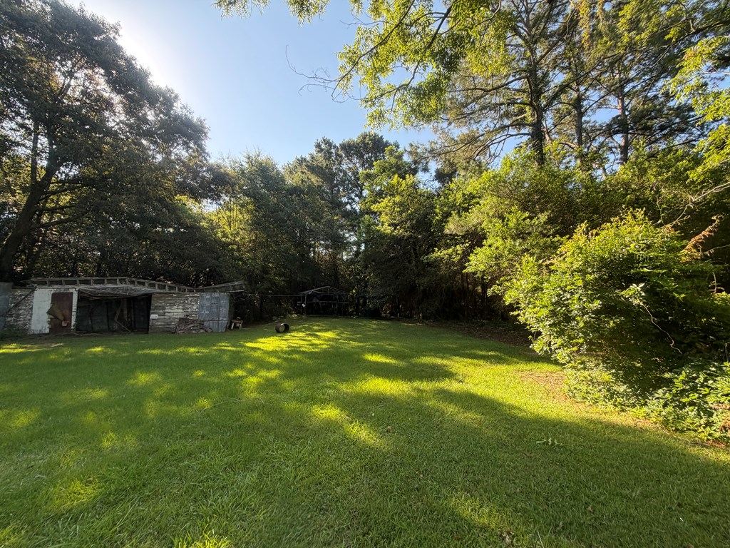 1 Nichols Road Pinckard, AL 36350 - Photo 15 of 29