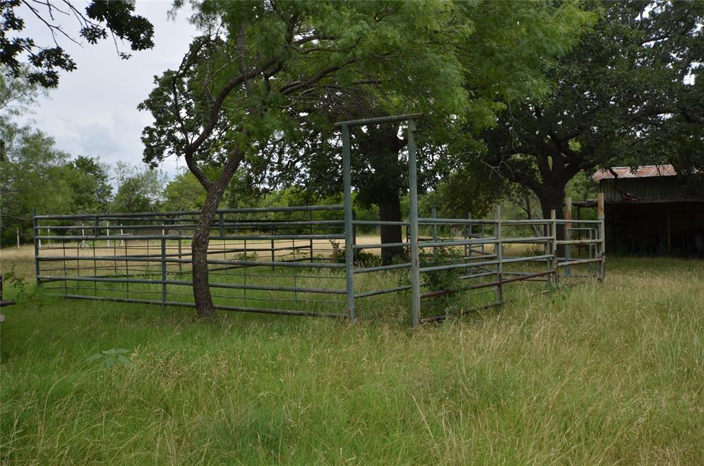 334 Cook Road Jacksboro, TX 76458 - Photo 19 of 21 Working pens