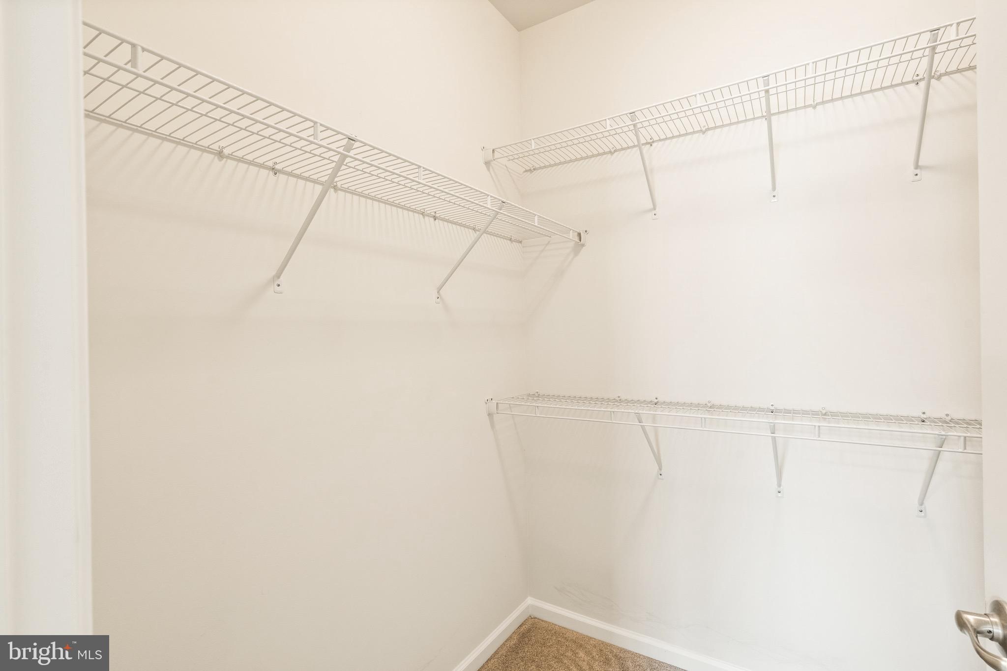 2003 Serviceberry Road Dumfries, VA 22026 - Photo 30 of 46 Large primary closet!