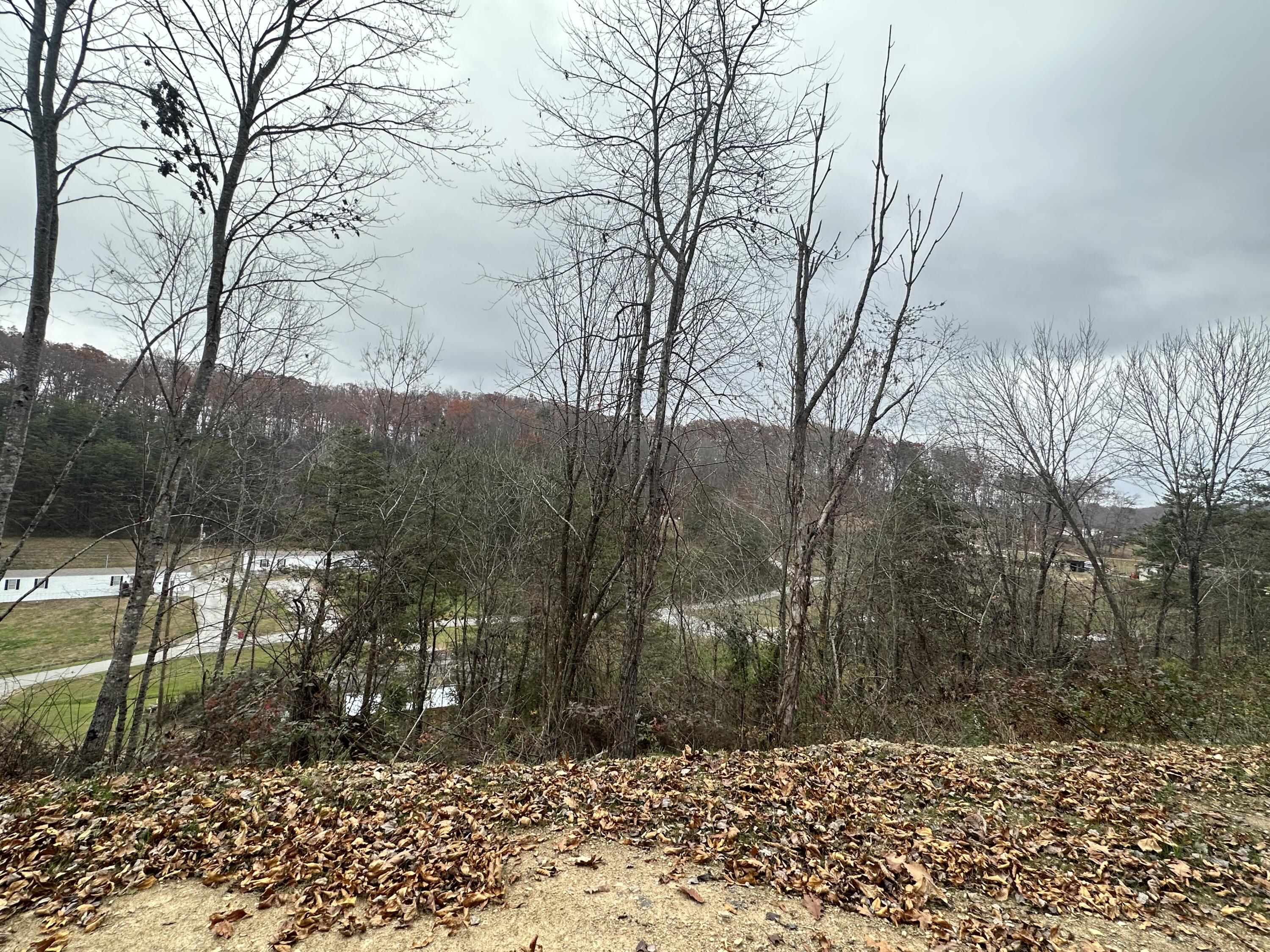 F Freeman Branch Road East Bernstadt, KY 40729 - Photo 5 of 19 IMG_0449