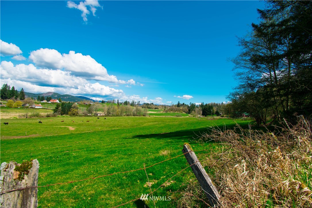 0 Naylor Road Mossyrock, WA 98564 - Photo 3 of 4 Gallery Image 3