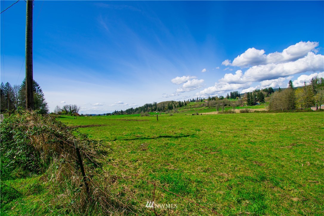 0 Naylor Road Mossyrock, WA 98564 - Photo 4 of 4 Gallery Image 4