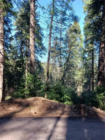 a view of a street with a tree