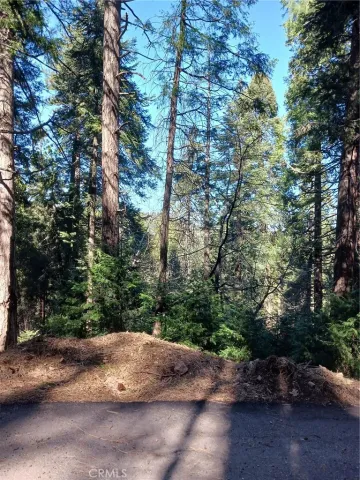 a view of a street with a yard and a trees