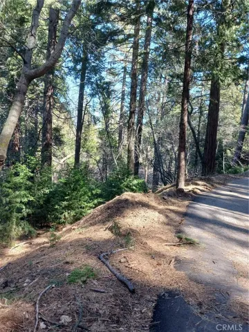 a view of a yard with large trees