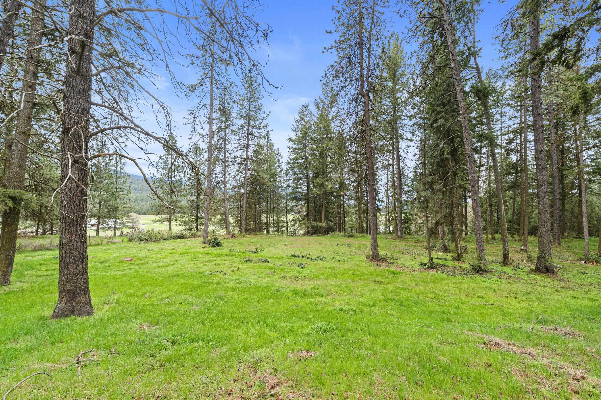 2600 Highline Road Chewelah, WA 99109 - Photo 19 of 27 Gallery Image 19