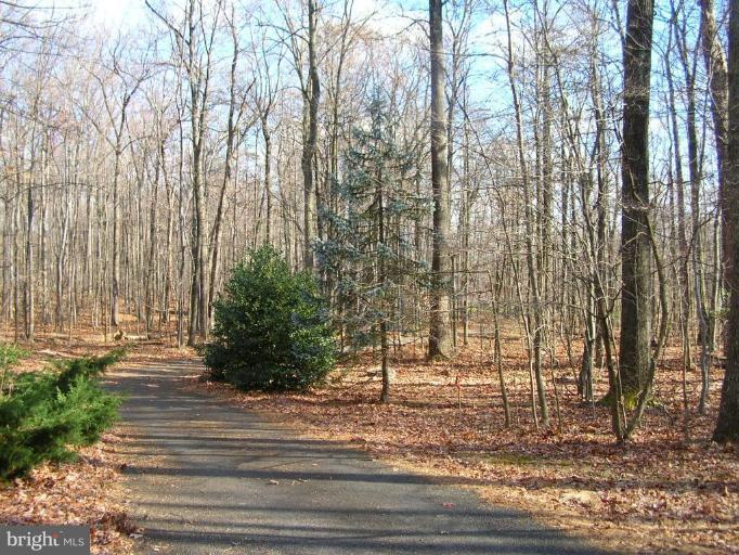 2798 Mountain Road Haymarket, VA 20169 - Photo 3 of 6 Wooded View / Acreage