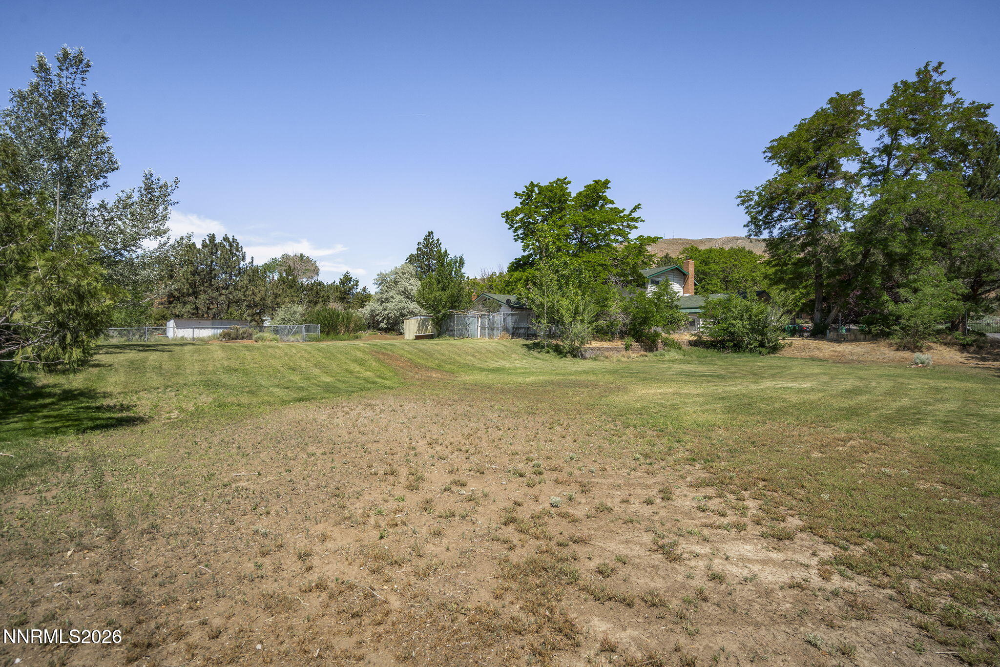 549 Ruby Lane Carson City, NV 89706 - Photo 34 of 37 a view of a field with an trees