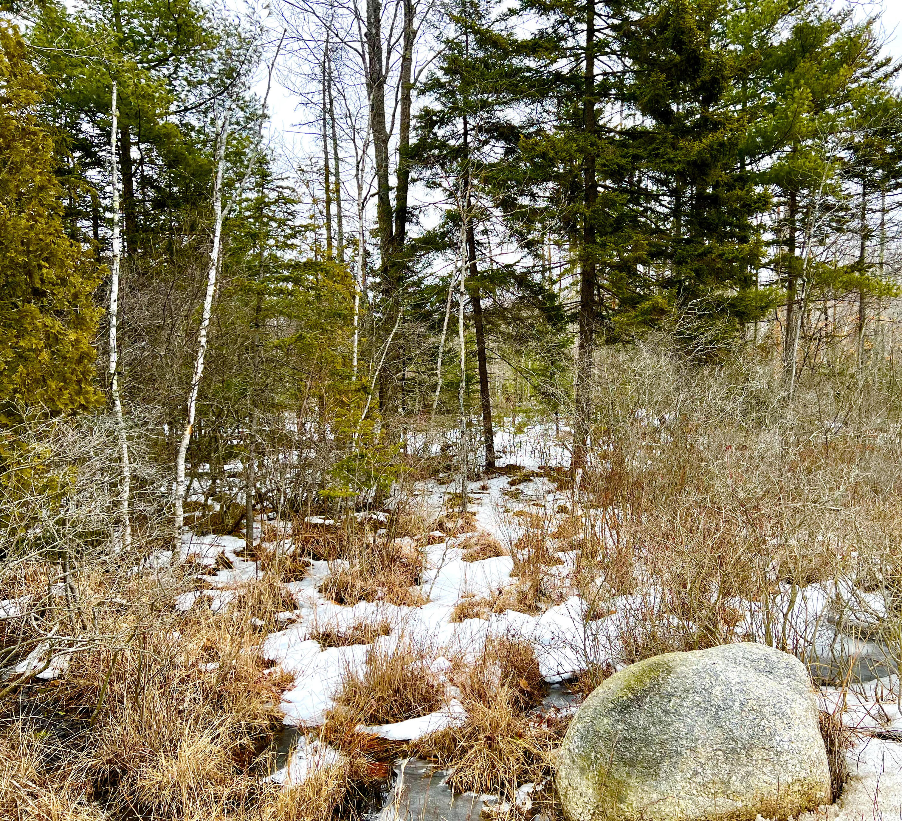 Lot 4 High Street Ellsworth, ME 04605 - Photo 4 of 10 Commercial Land