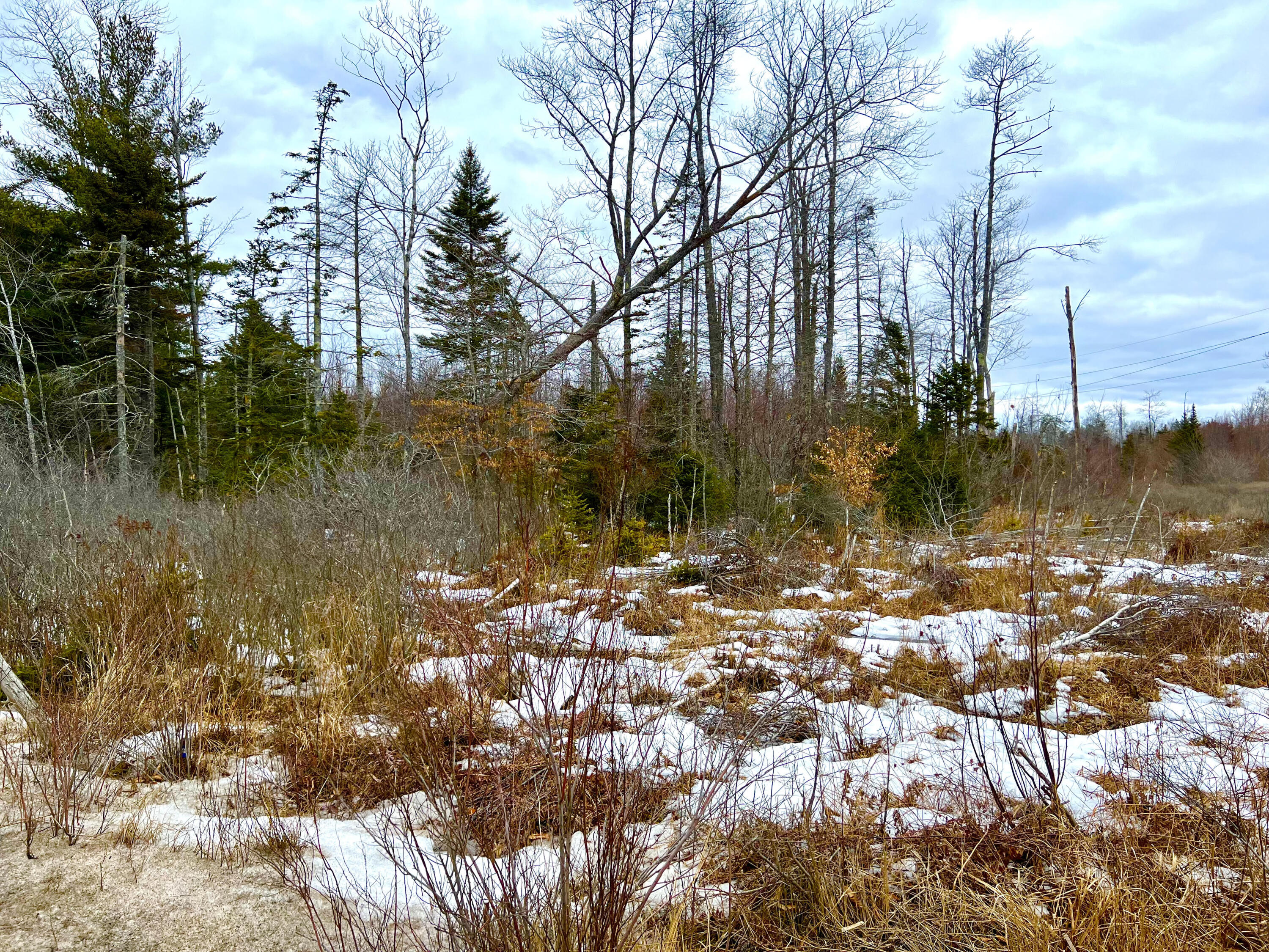 Lot 4 High Street Ellsworth, ME 04605 - Photo 7 of 10 Commercial Land