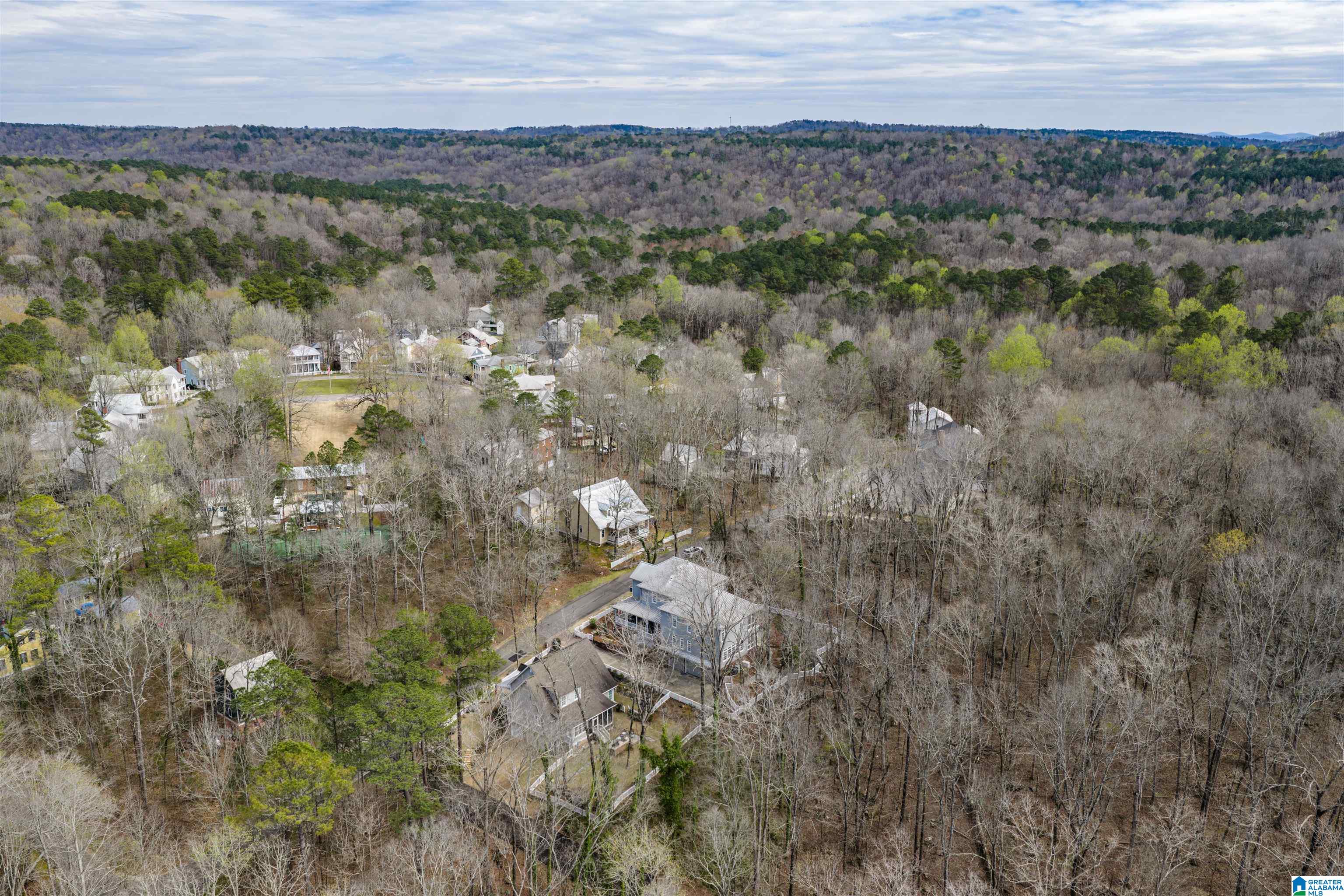 100 Randolph Road Hayden, AL 35079 - Photo 58 of 73