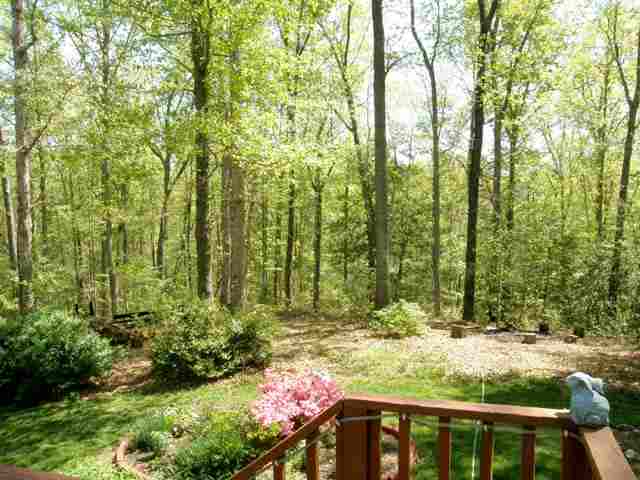 61 Carolina Way Fountain Inn, SC 29644 - Photo 23 of 24