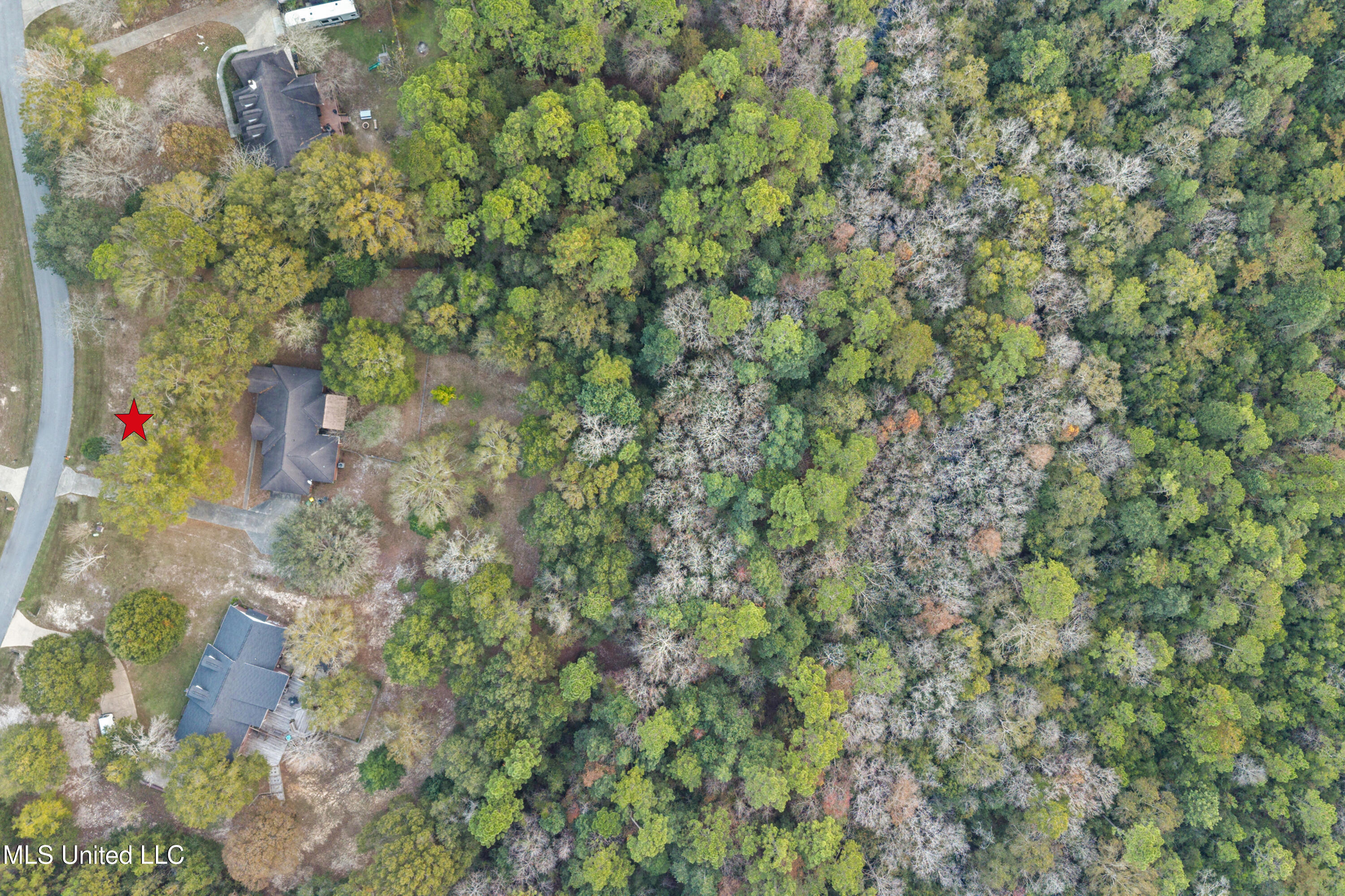 11709 Bluff Ridge Road Vancleave, MS 39565 - Photo 42 of 49 0043