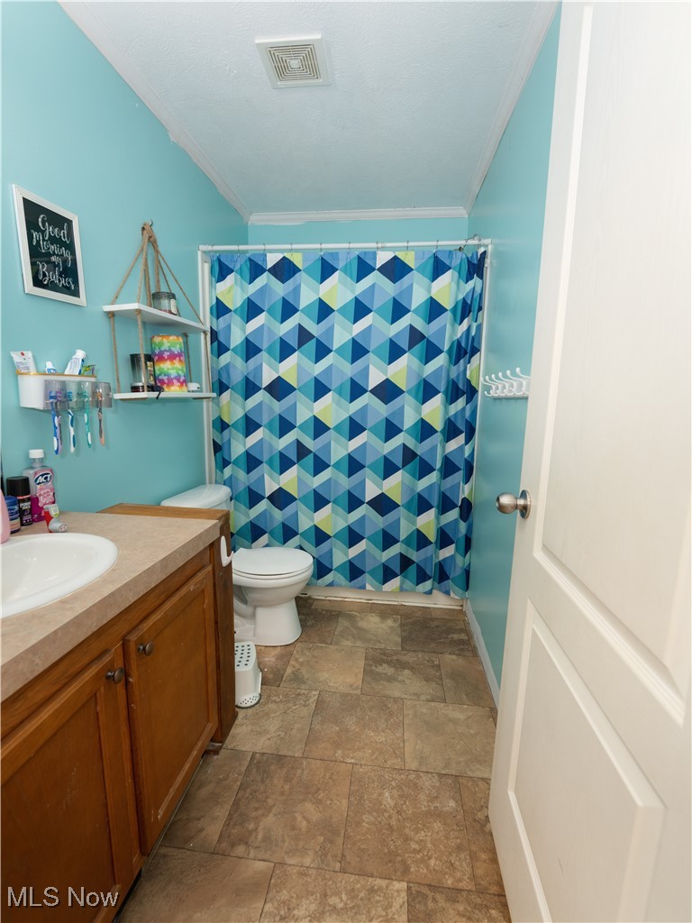 4391 Sandy Lake Road Ravenna, OH 44266 - Photo 24 of 30 Bathroom featuring vanity, a shower with shower curtain, crown molding, and dark stone finish flooring
