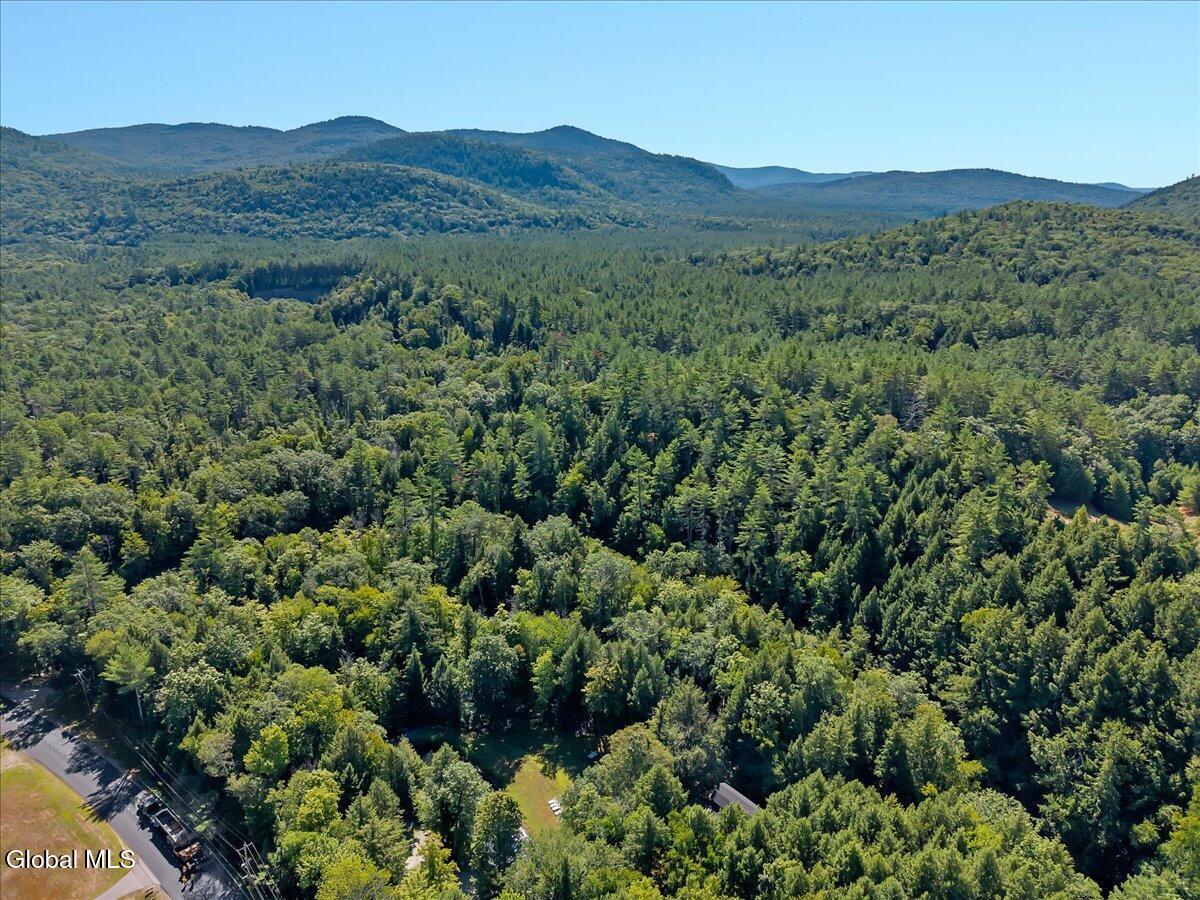 243 Warrensburg Road Stony Creek, NY 12878 - Photo 74 of 78 46-DJI_20250801102124_0023_D