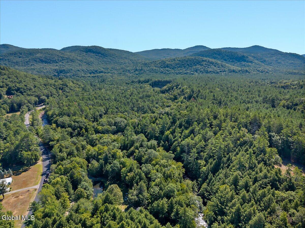 243 Warrensburg Road Stony Creek, NY 12878 - Photo 75 of 78 47-DJI_20250801102200_0028_D