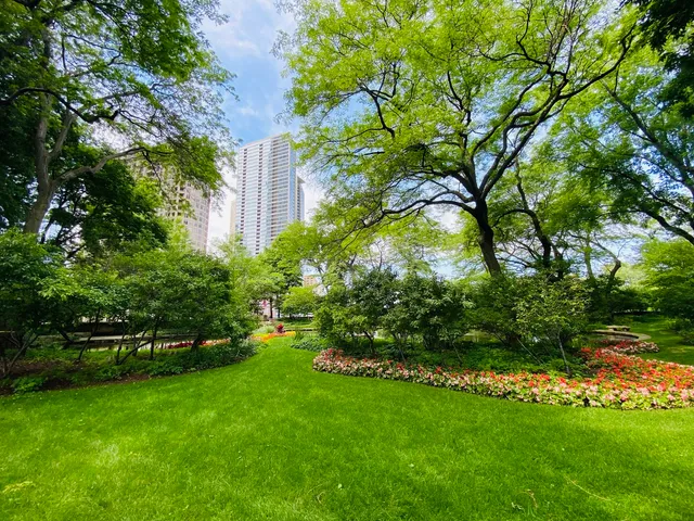 a view of a backyard with potted plants and large trees