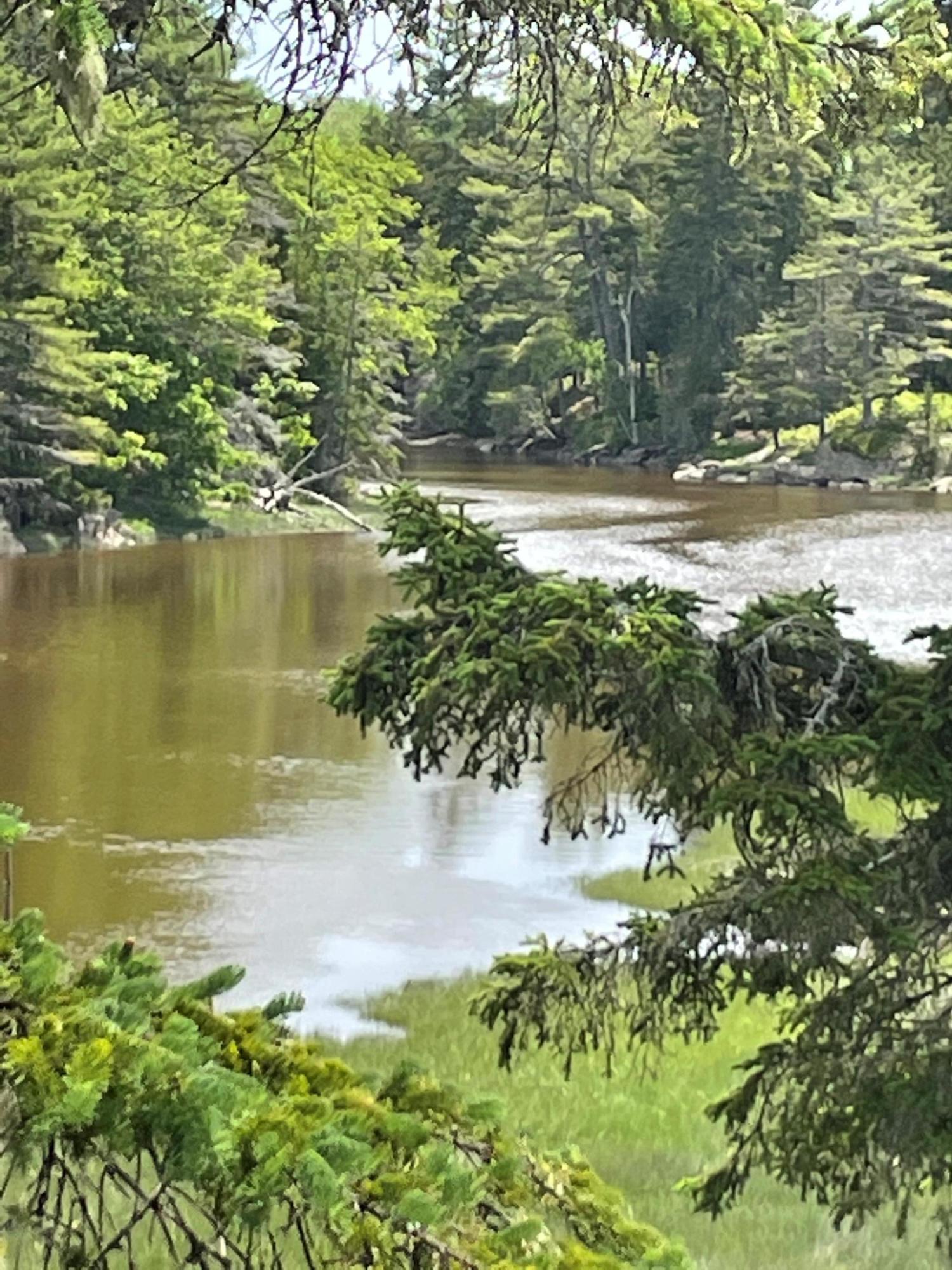 3 Robbins Point Road Gouldsboro, ME 04607 - Photo 6 of 7 pic 6
