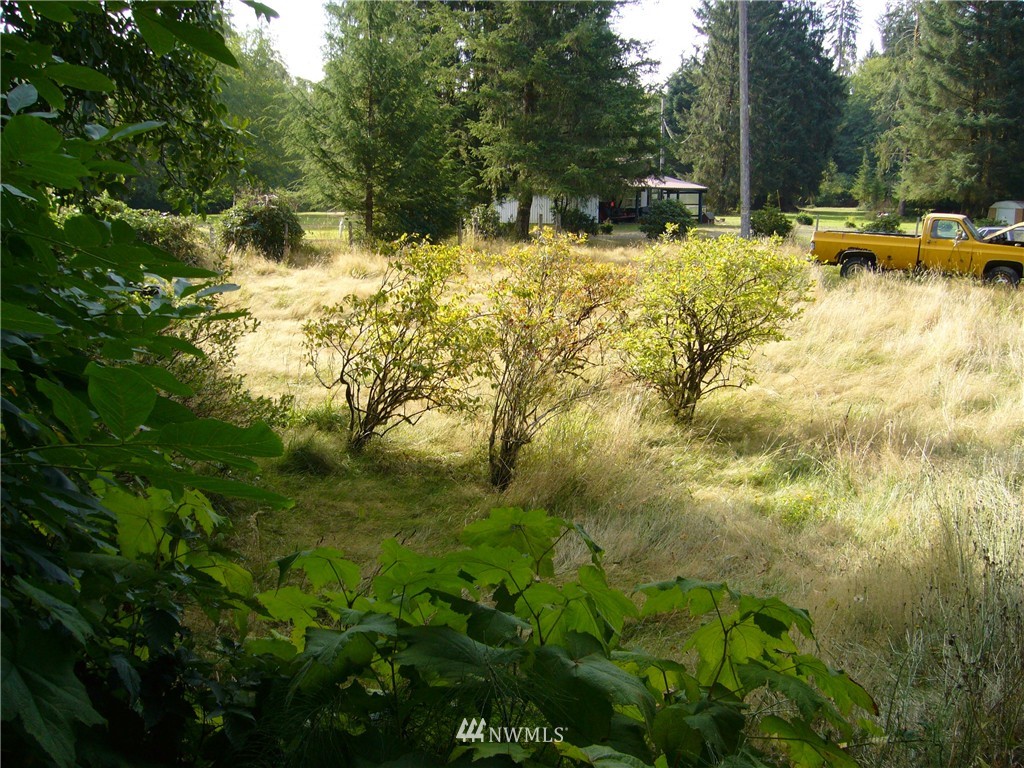 1293 Whitcomb Diimmel Road Forks, WA 98331 - Photo 3 of 4 Gallery Image 3