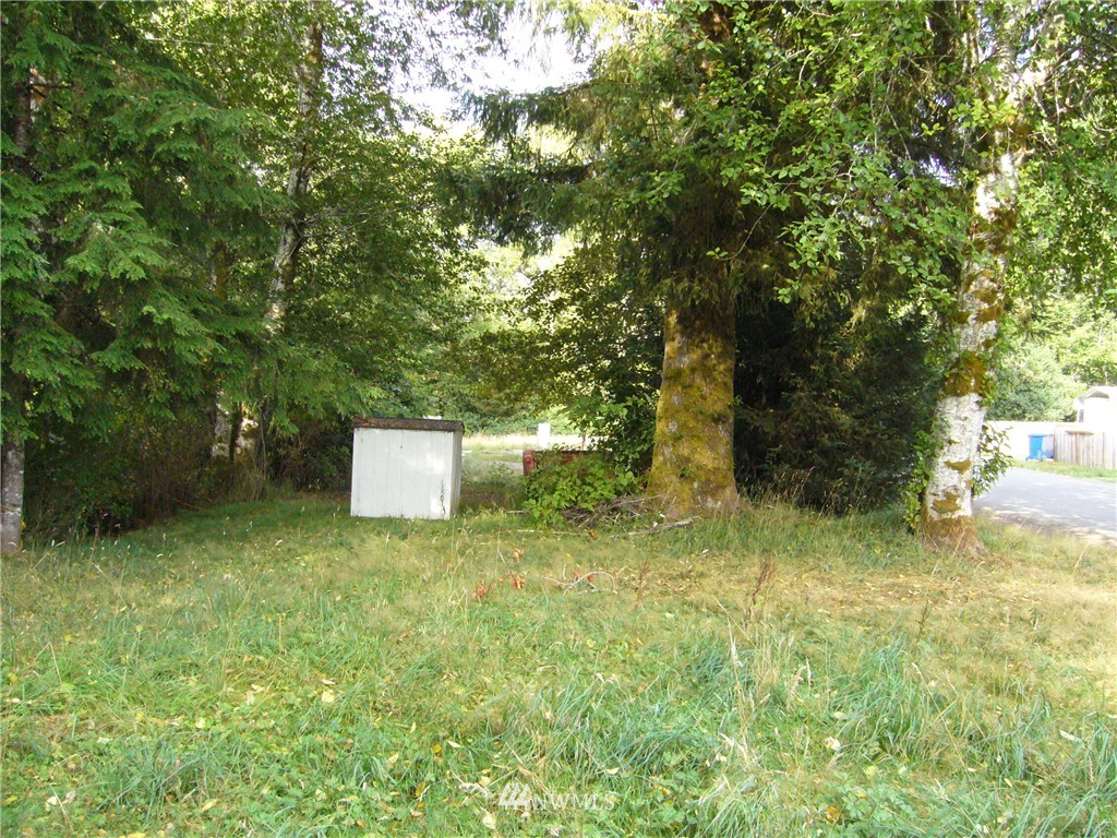 1293 Whitcomb Diimmel Road Forks, WA 98331 - Photo 4 of 4 Gallery Image 4