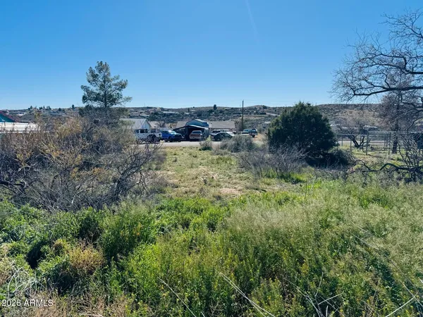 a view of a yard with a house in the background