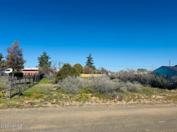 a view of a yard with a tree