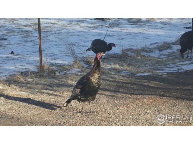 $749,000 | 4301 West Co Road 4, Berthoud, CO 80513