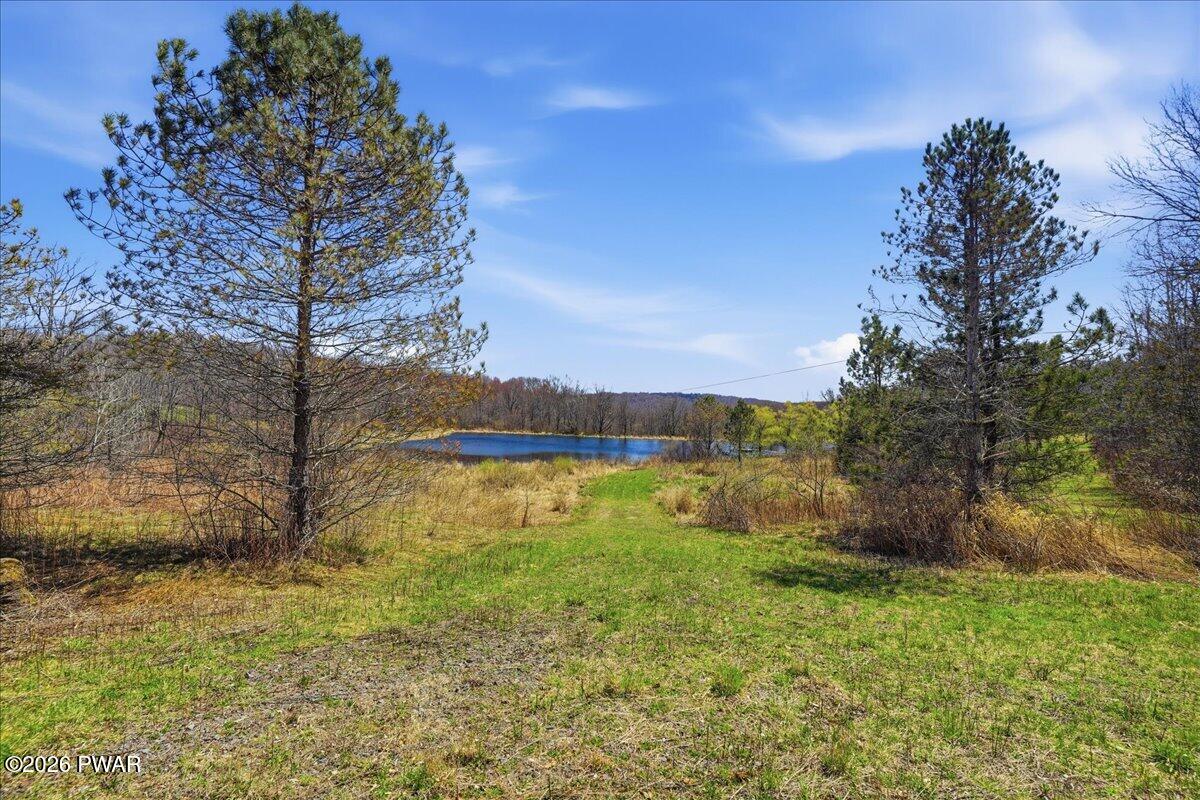 230 Big Hills Road Lake Ariel, PA 18436 - Photo 70 of 79
