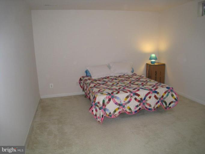 2483 Leyland Ridge Road Herndon, VA 20171 - Photo 22 of 28 Basement #1