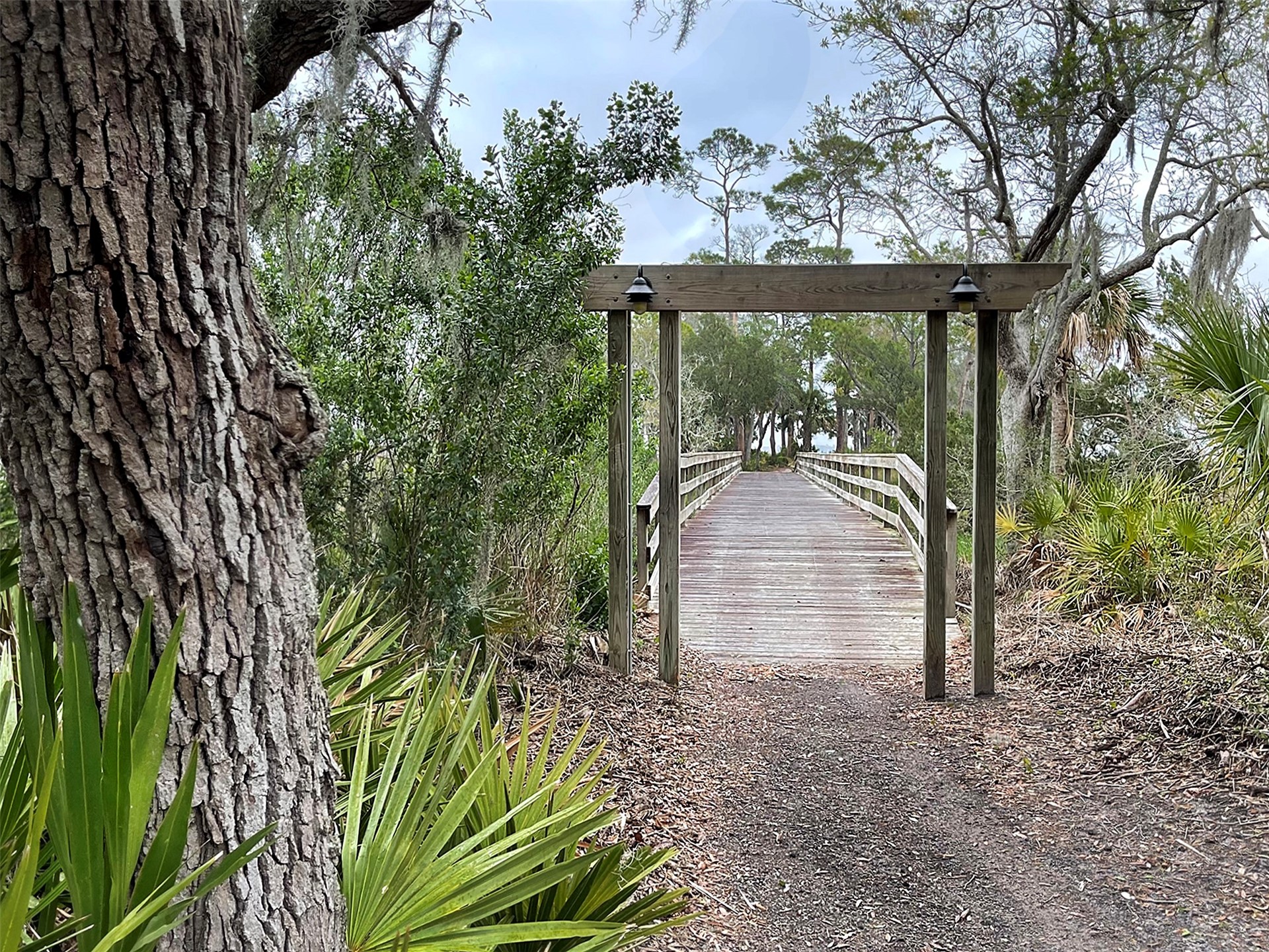 29078 Grandview Manor Yulee, FL 32097 - Photo 13 of 18