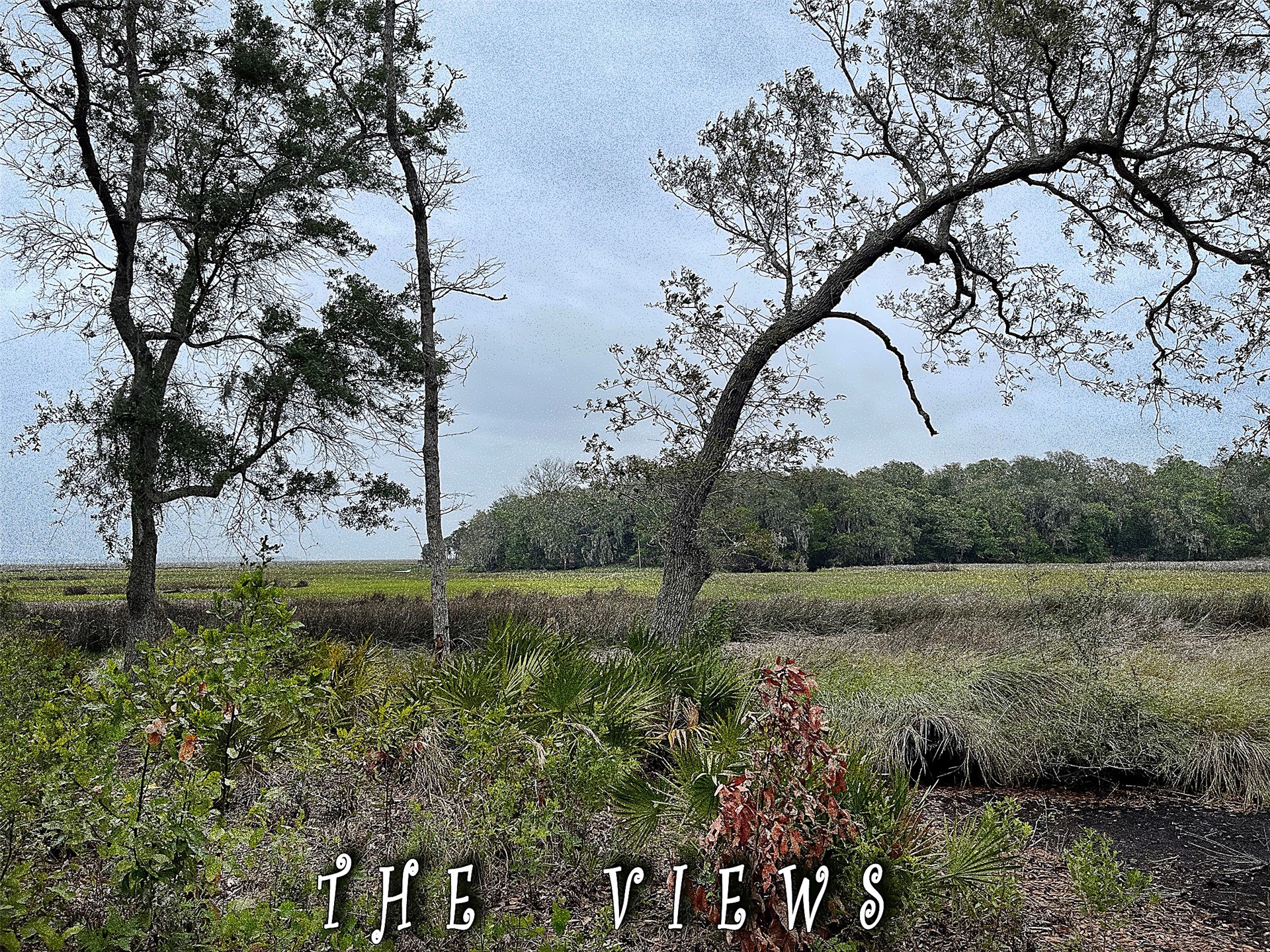 29078 Grandview Manor Yulee, FL 32097 - Photo 8 of 18