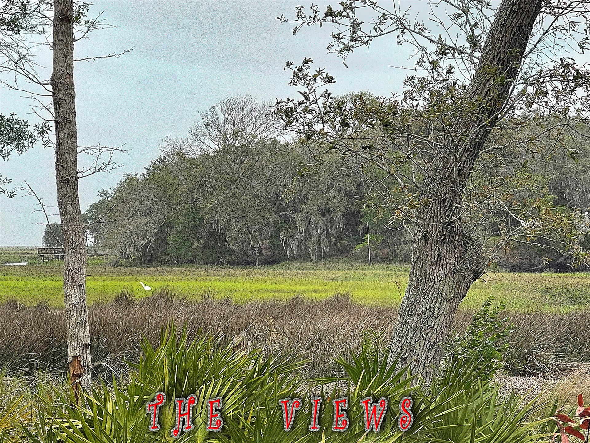 29078 Grandview Manor Yulee, FL 32097 - Photo 9 of 18