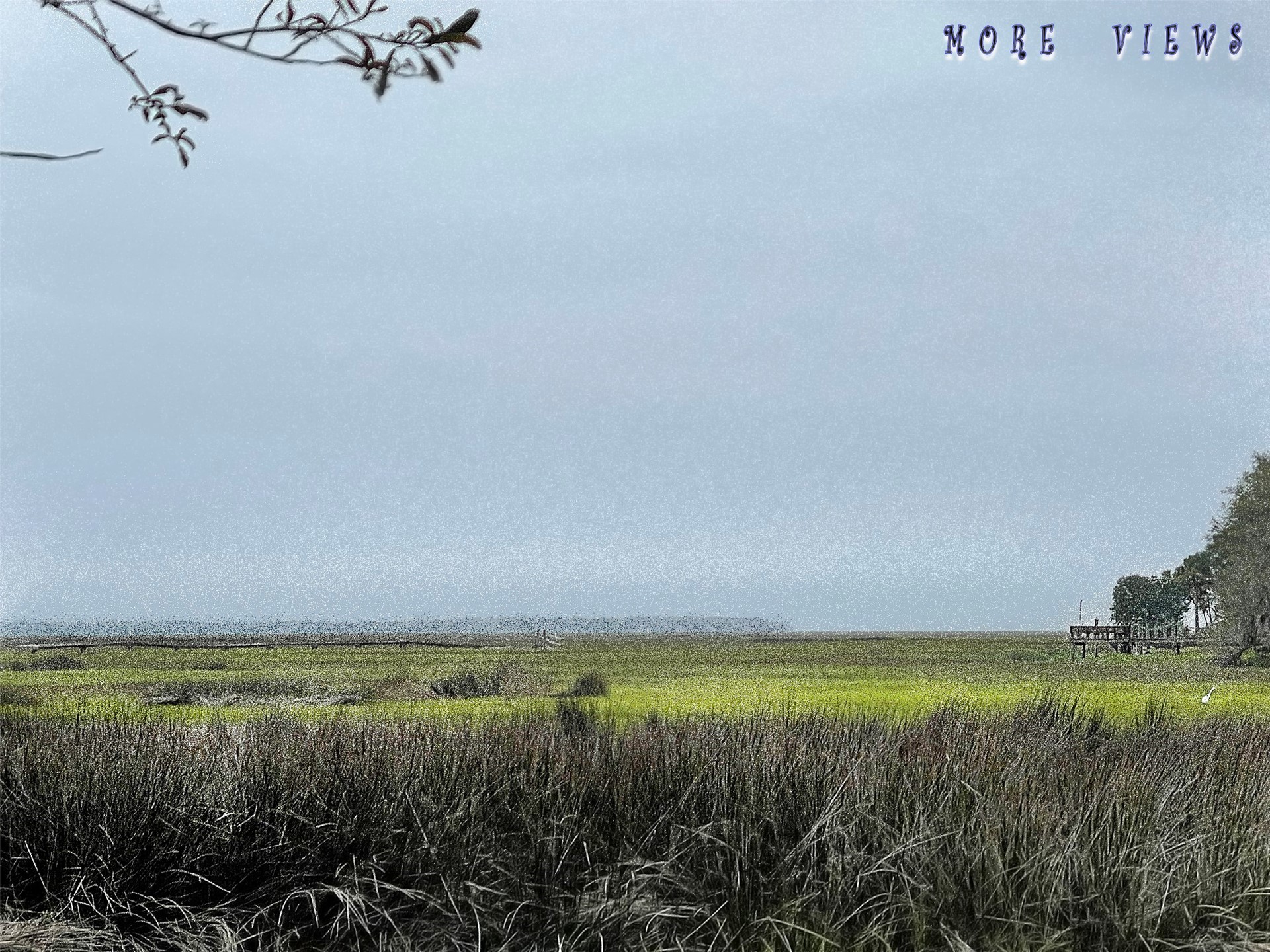 29078 Grandview Manor Yulee, FL 32097 - Photo 10 of 18