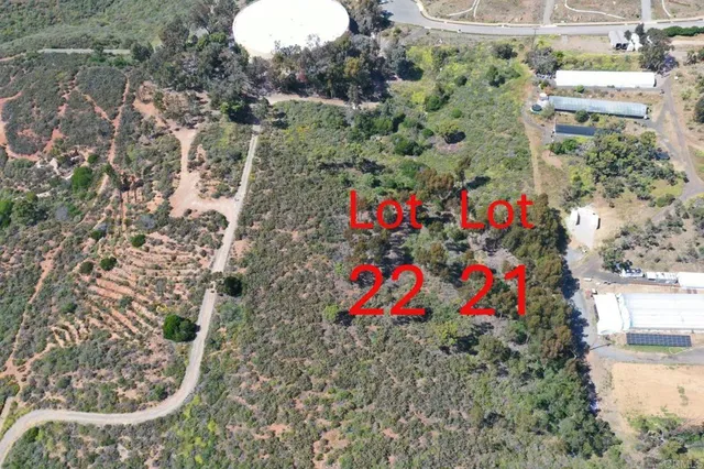 an aerial view of a house with a yard and a large tree