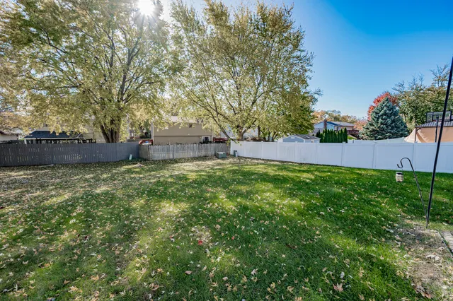 a view of a backyard with large trees