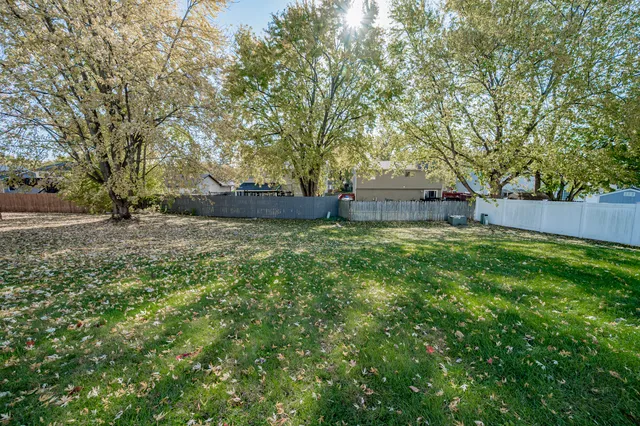 a view of a backyard with large trees