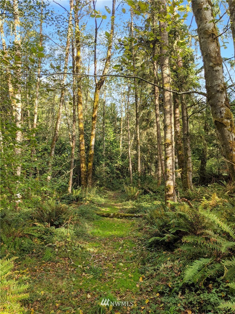14012 Southwest Reddings Beach Road Vashon, WA 98070 - Photo 29 of 35 Gallery Image 29