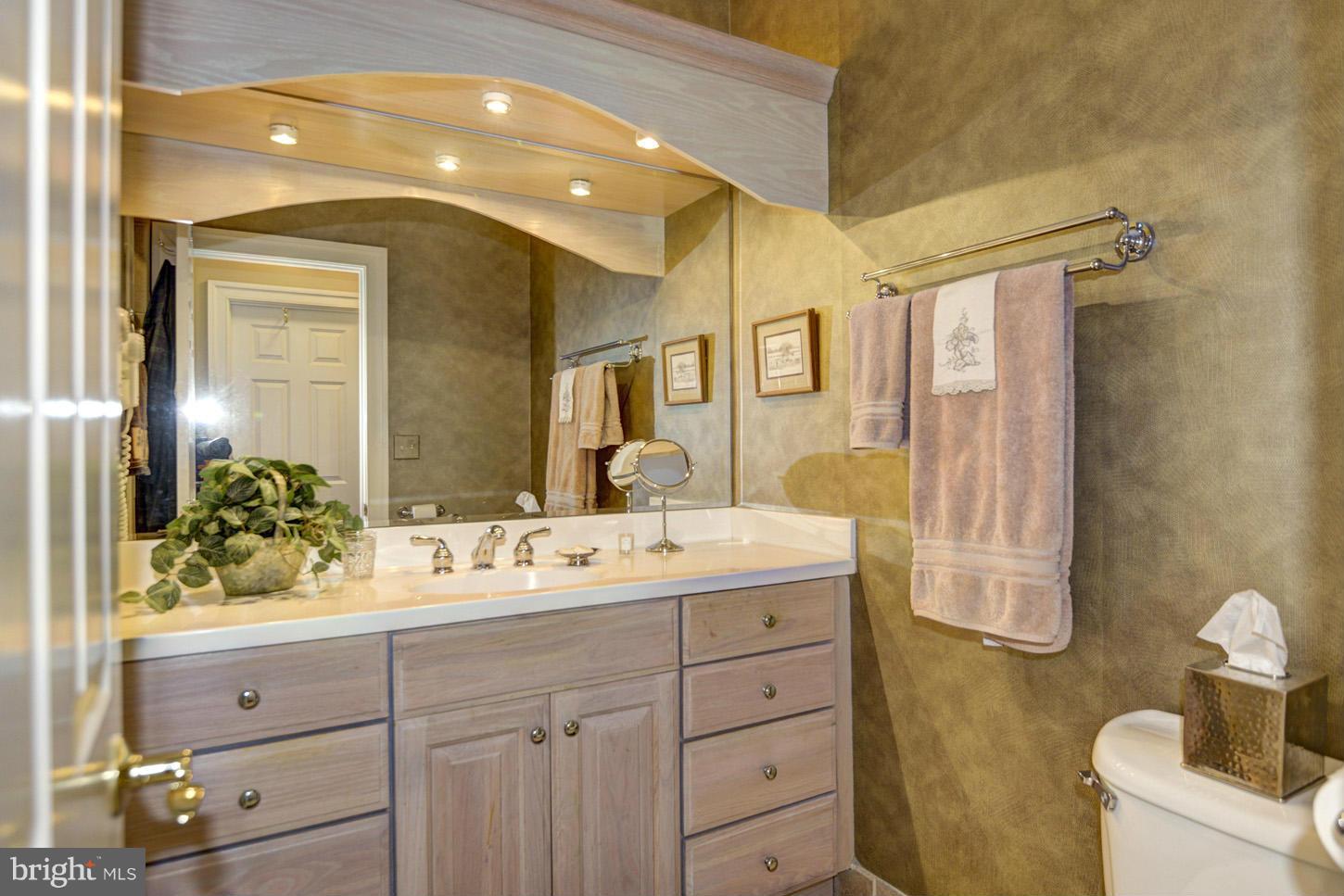1925 South Arlington Ridge Road Arlington, VA 22202 - Photo 18 of 30 Two master baths (his)