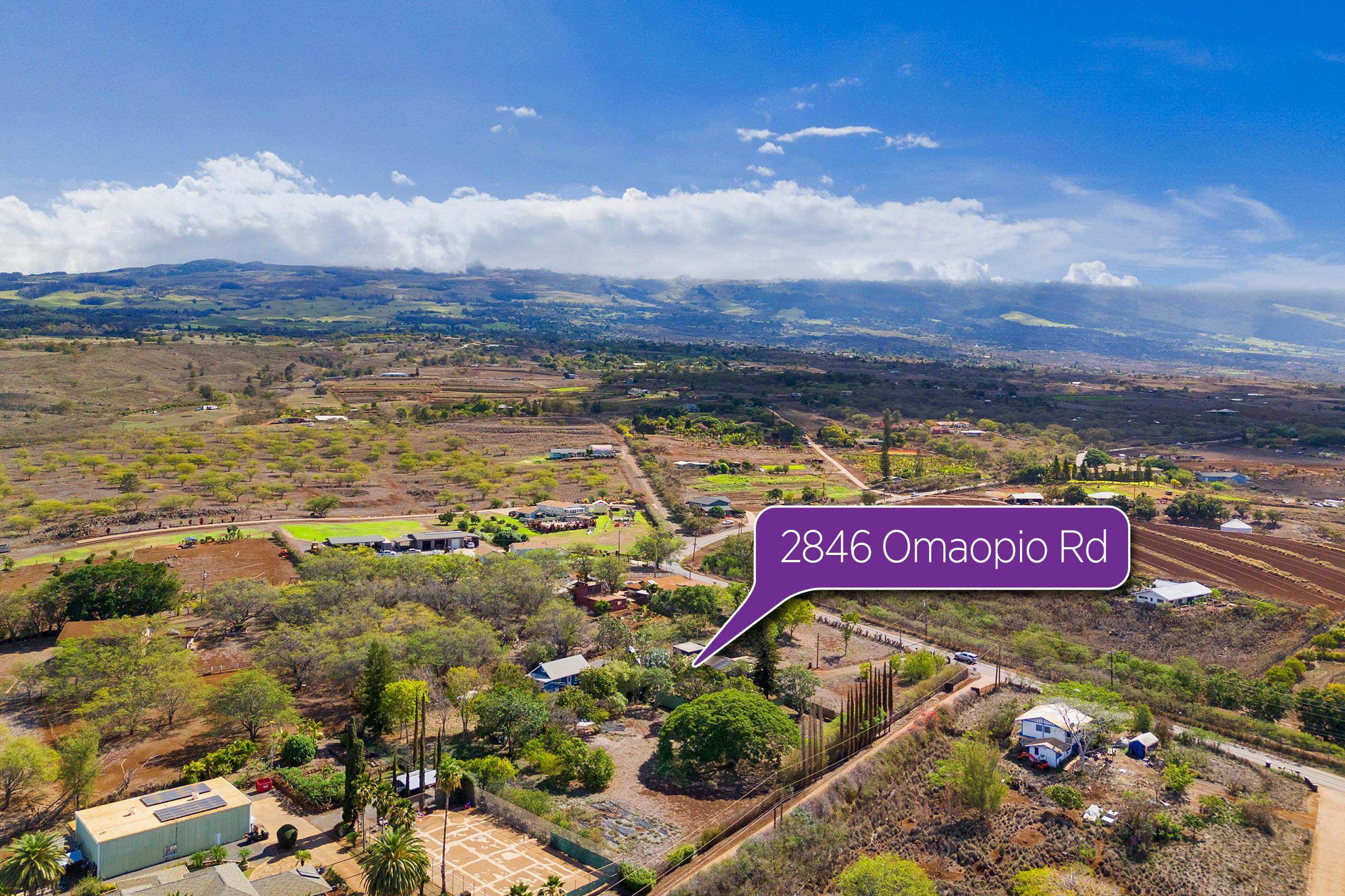 2846 Omaopio Road Kula, HI 96790 - Photo 26 of 50 Gallery Image 26